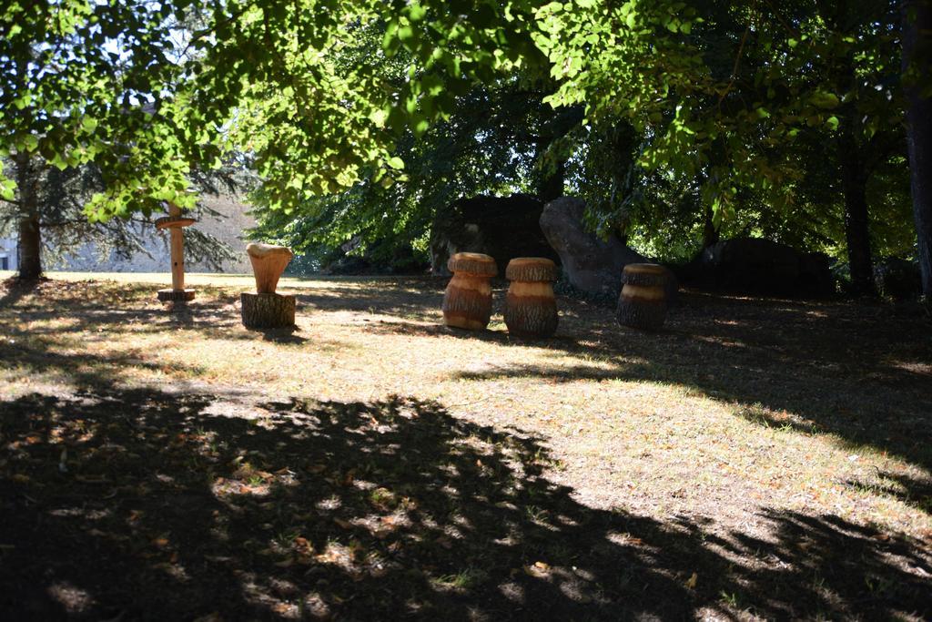 Domaine De La Rocque Bed and Breakfast Liorac-sur-Louyre Buitenkant foto